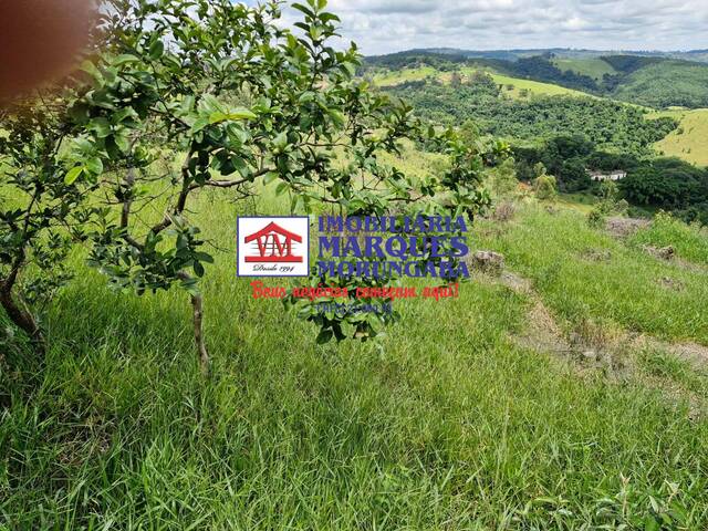 #325 - Sítio para Venda em Morungaba - SP - 3