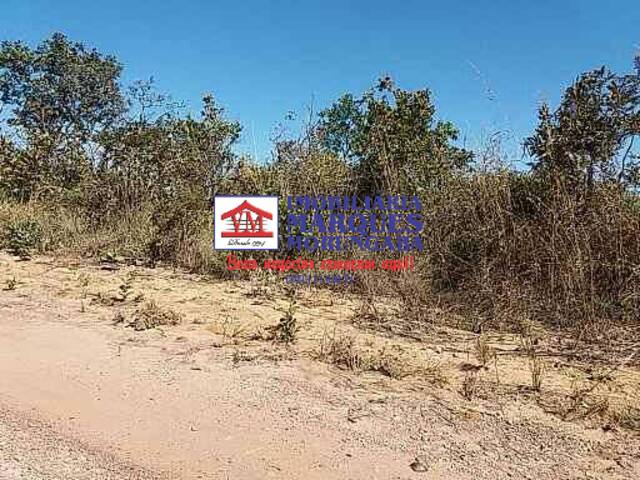 #080 - Fazenda para Venda em Nova Brasilândia - MT - 2