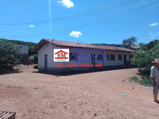 Sítio para Venda em Amparo - 5