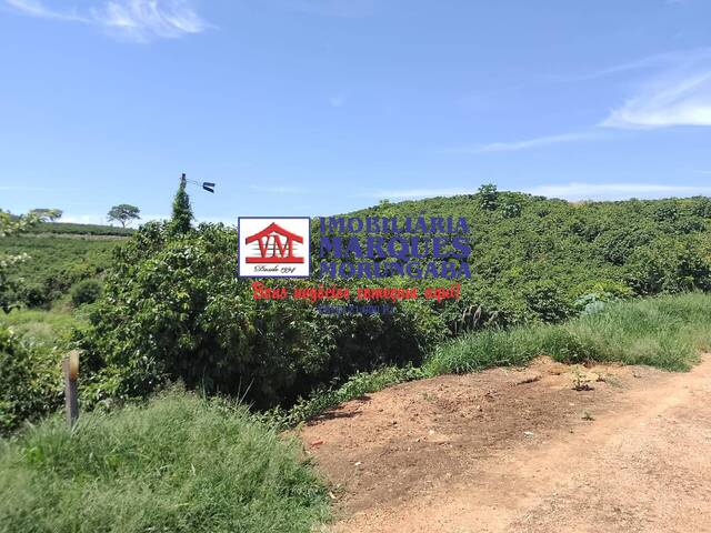 Sítio para Venda em Amparo - 4