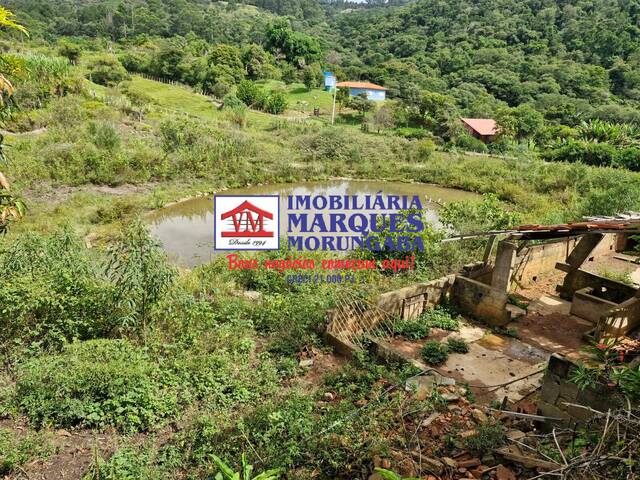 #067 - Sítio para Venda em Morungaba - SP - 1
