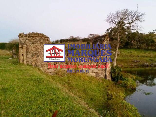 #136 - Fazenda para Venda em Pedreira - SP - 3