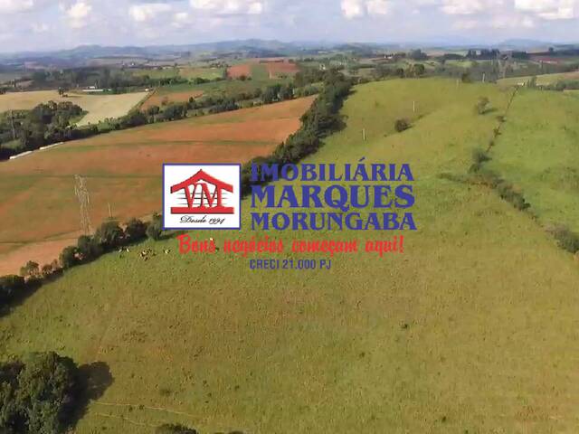 Venda em Área Rural de Morungaba - Morungaba