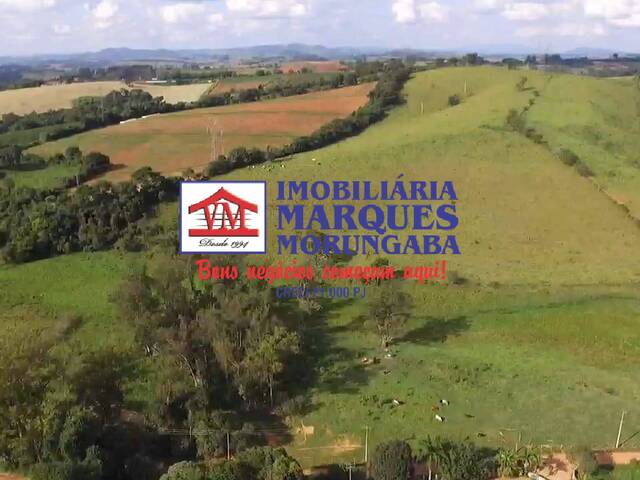 #490 - Sítio para Venda em Morungaba - SP - 2