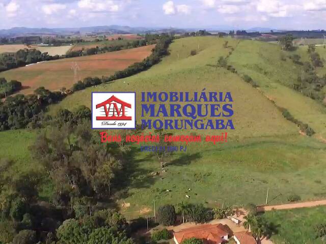 #490 - Sítio para Venda em Morungaba - SP - 3