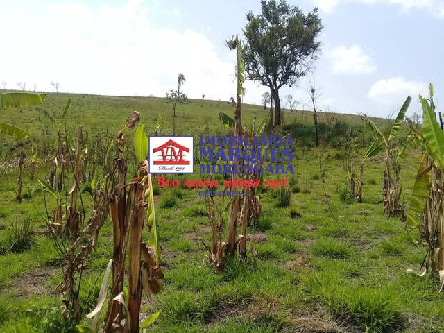 #139 - Sítio para Venda em Jarinu - SP - 3