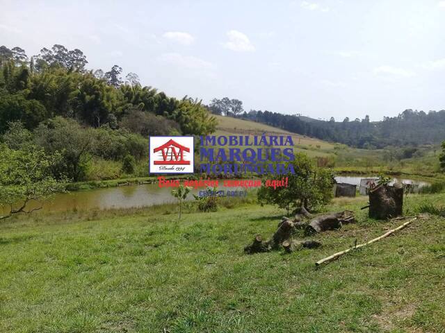 #139 - Sítio para Venda em Jarinu - SP - 1