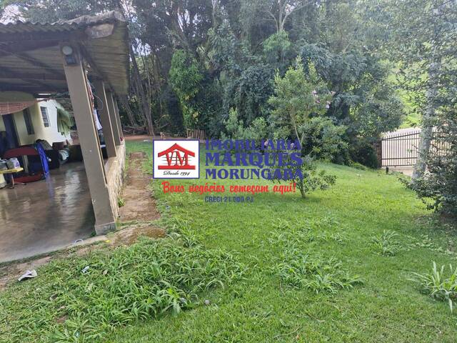 Venda em Área Rural de Monte Alegre do Sul - Monte Alegre do Sul