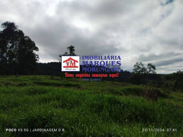 #493 - Sítio para Venda em Itatiba - SP - 3