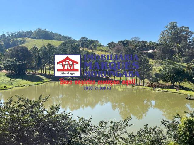 #168 - Fazenda para Venda em Monte Alegre do Sul - SP - 3