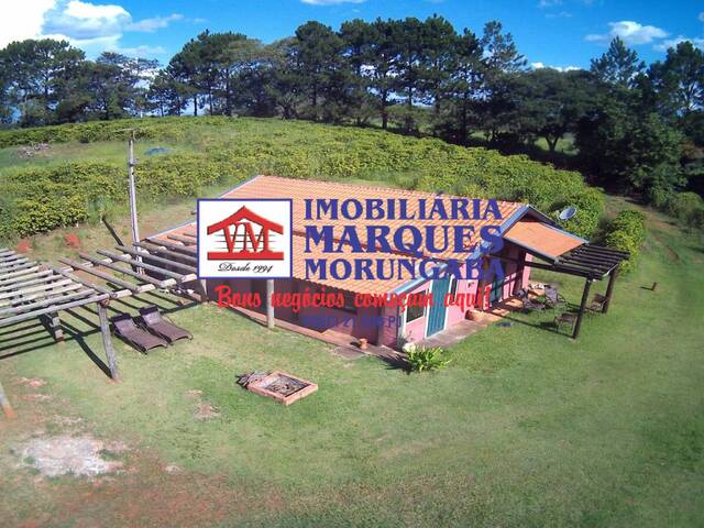 #055 - Sítio para Venda em Morungaba - SP - 3