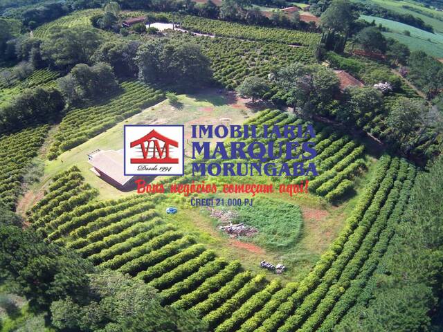 Venda em Área Rural de Morungaba - Morungaba