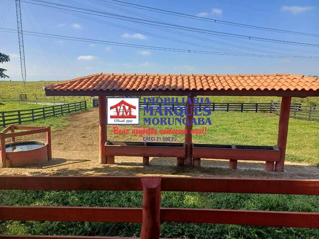 Sítio para Venda em Guaratinguetá - 4