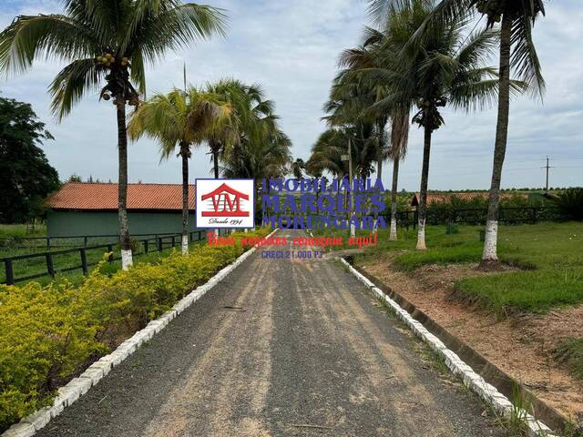 #505 - Haras para Venda em Moji Mirim - SP - 3