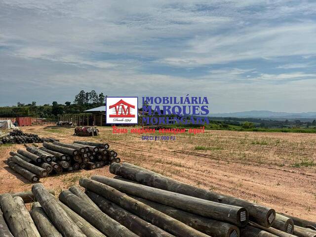 Haras para Venda em Moji Mirim - 4