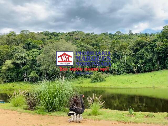 #144 - Fazenda para Venda em São Roque - SP - 1