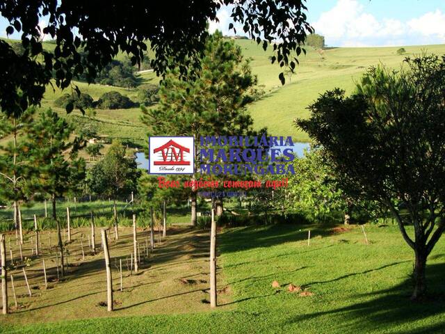 #289 - Chácara para Venda em Tuiuti - SP - 3