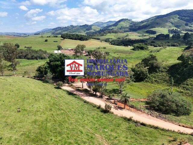 #238 - Fazenda para Venda em Borda da Mata - MG - 1