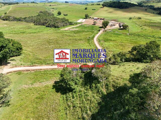 #238 - Fazenda para Venda em Borda da Mata - MG - 2