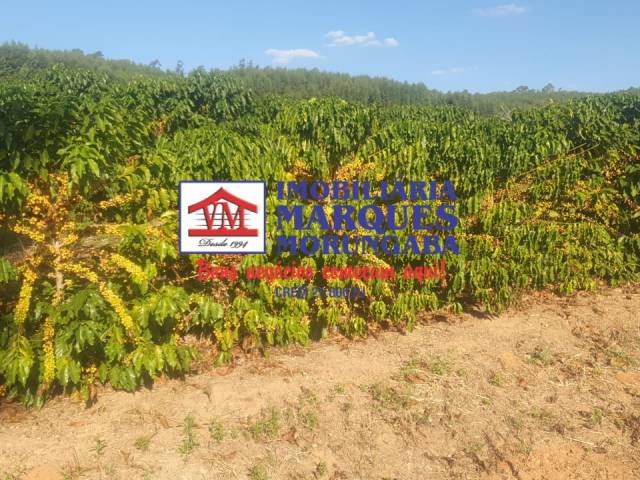 #479 - Fazenda para Venda em Amparo - SP - 2