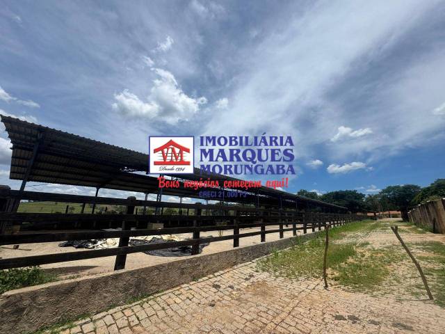 #508 - Fazenda para Venda em Socorro - SP - 2