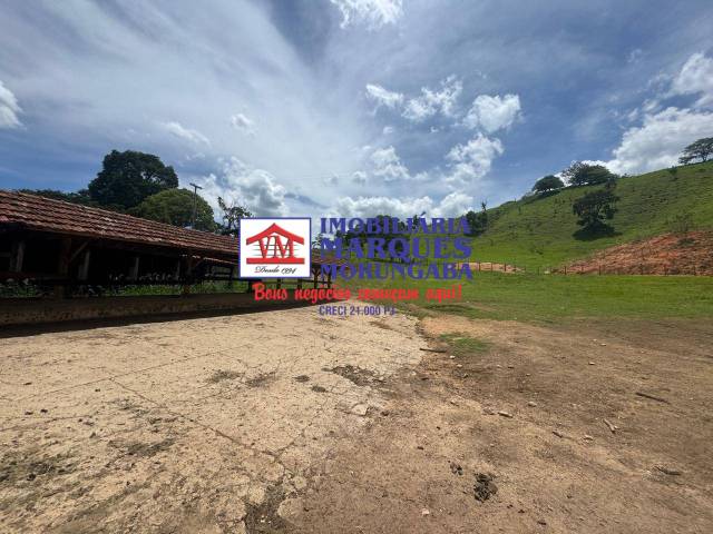 #508 - Fazenda para Venda em Socorro - SP - 3