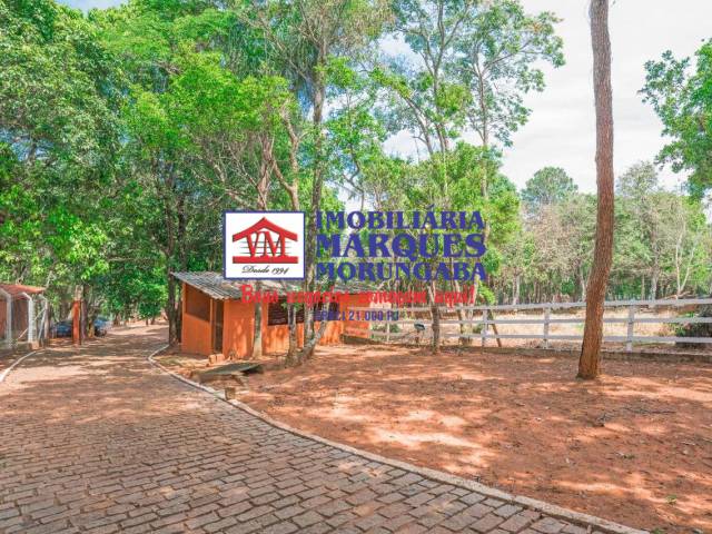 Haras para Venda em Jarinu - 4