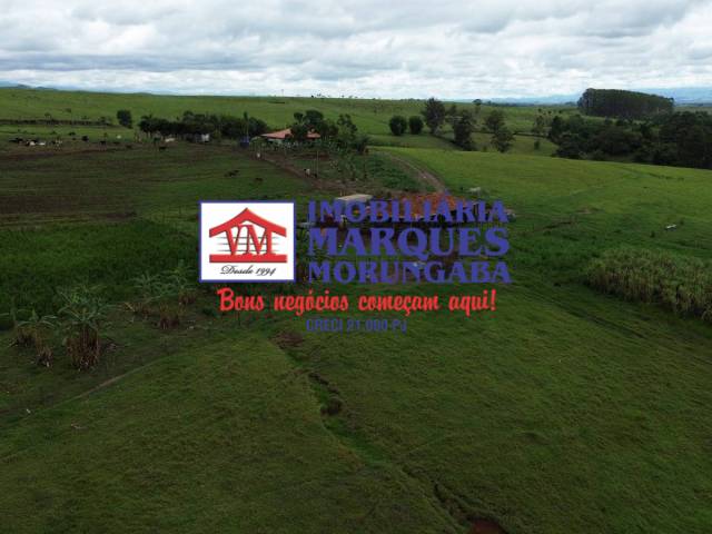 #177 - Sítio para Venda em Guaratinguetá - SP - 1