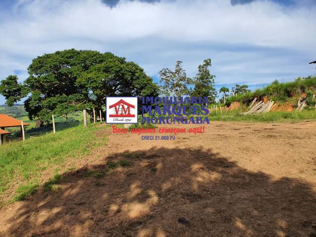 #295 - Fazenda para Venda em Socorro - SP - 3