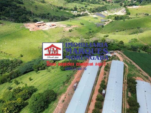Fazenda para Venda em Bragança Paulista - 4