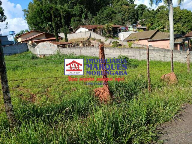 #110 - Área para Venda em Morungaba - SP - 3