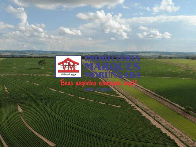 #111 - Fazenda para Venda em Marília - SP - 3