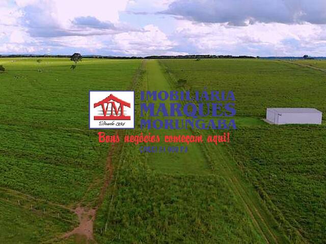 Fazenda para Venda em Marília - 5