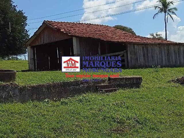 #114 - Fazenda para Venda em Marília - SP - 1