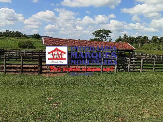 Fazenda para Venda em Marília - 5