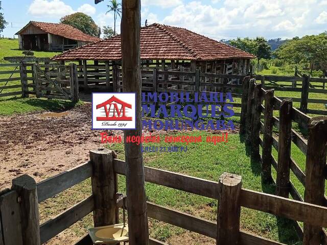 #114 - Fazenda para Venda em Marília - SP - 3