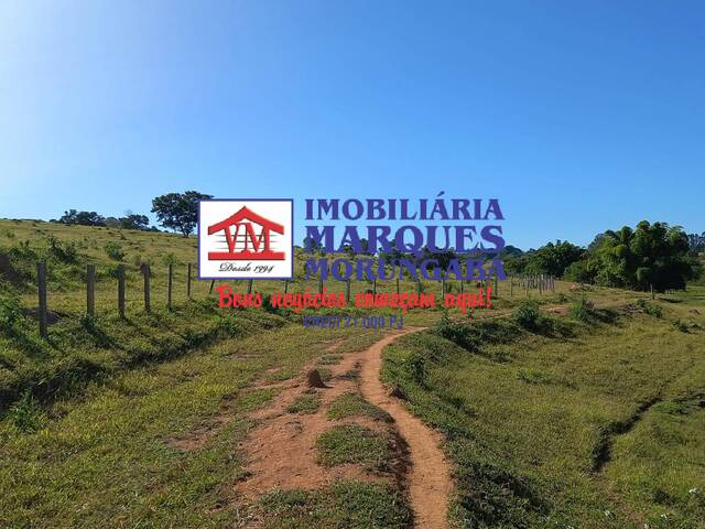 Sítio para Venda em Campinas - 5