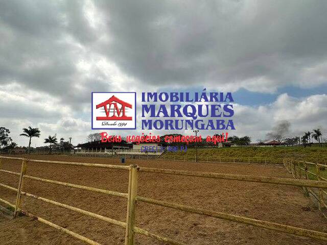 #202 - Haras para Venda em Caçapava - SP - 1