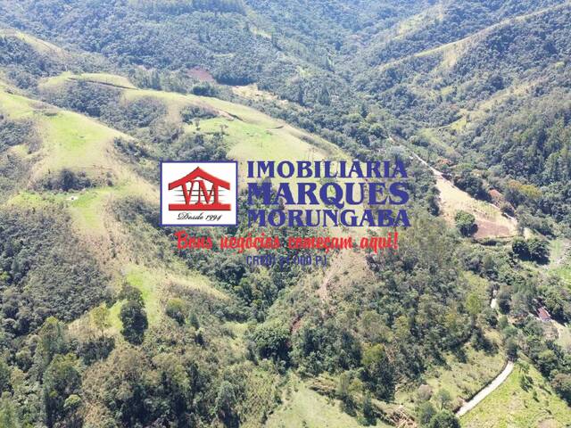 #210 - Fazenda para Venda em Guaratinguetá - SP - 1