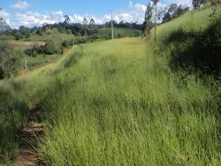 Venda em Zona Rural - Morungaba