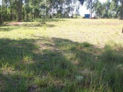 #169 - Empresa para Venda em Morungaba - SP