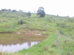 Venda em Área Rural de Amparo - Amparo