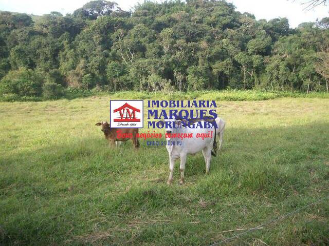 #383 - Sítio para Venda em Morungaba - SP