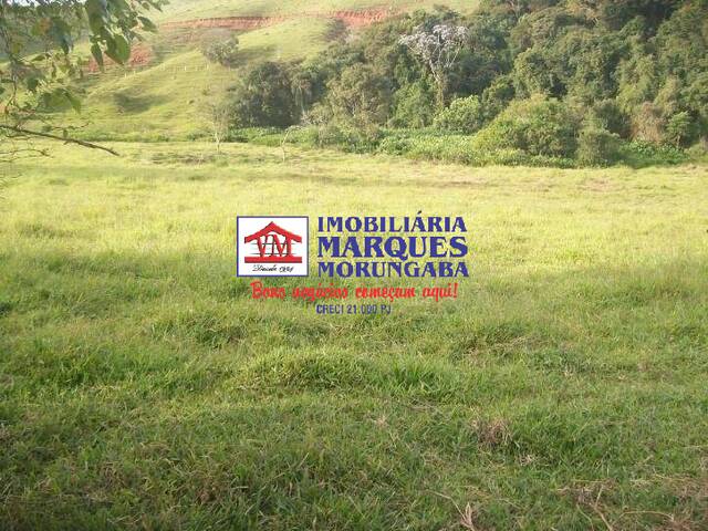 #383 - Sítio para Venda em Morungaba - SP