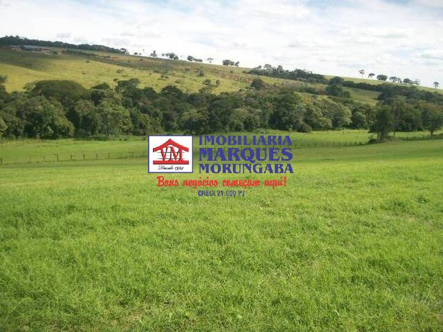 Venda em Tuiuti - Morungaba
