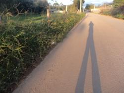 #312 - Sítio para Venda em Morungaba - SP