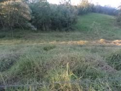 #314 - Sítio para Venda em Morungaba - SP