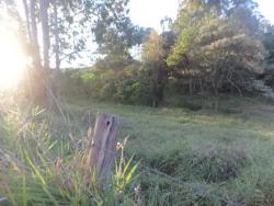 #314 - Sítio para Venda em Morungaba - SP