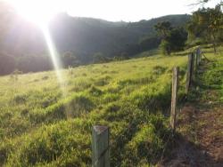 Sítio para Venda em Morungaba - 5