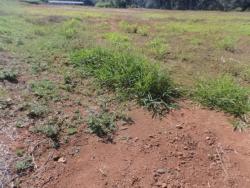 Fazenda para Venda em Itatiba - 4